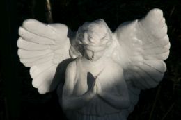 Angel 1 F 1