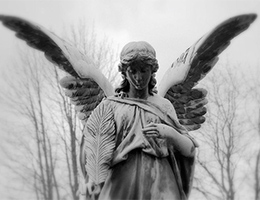 Angel 2 F 1