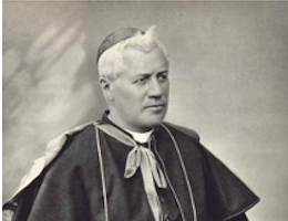 Maria, Überwinderin der Häresien 3 hl. Papst Pius X.