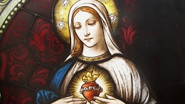herz maria 1
