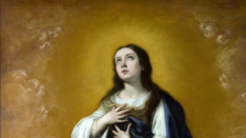 immaculee conception 2
